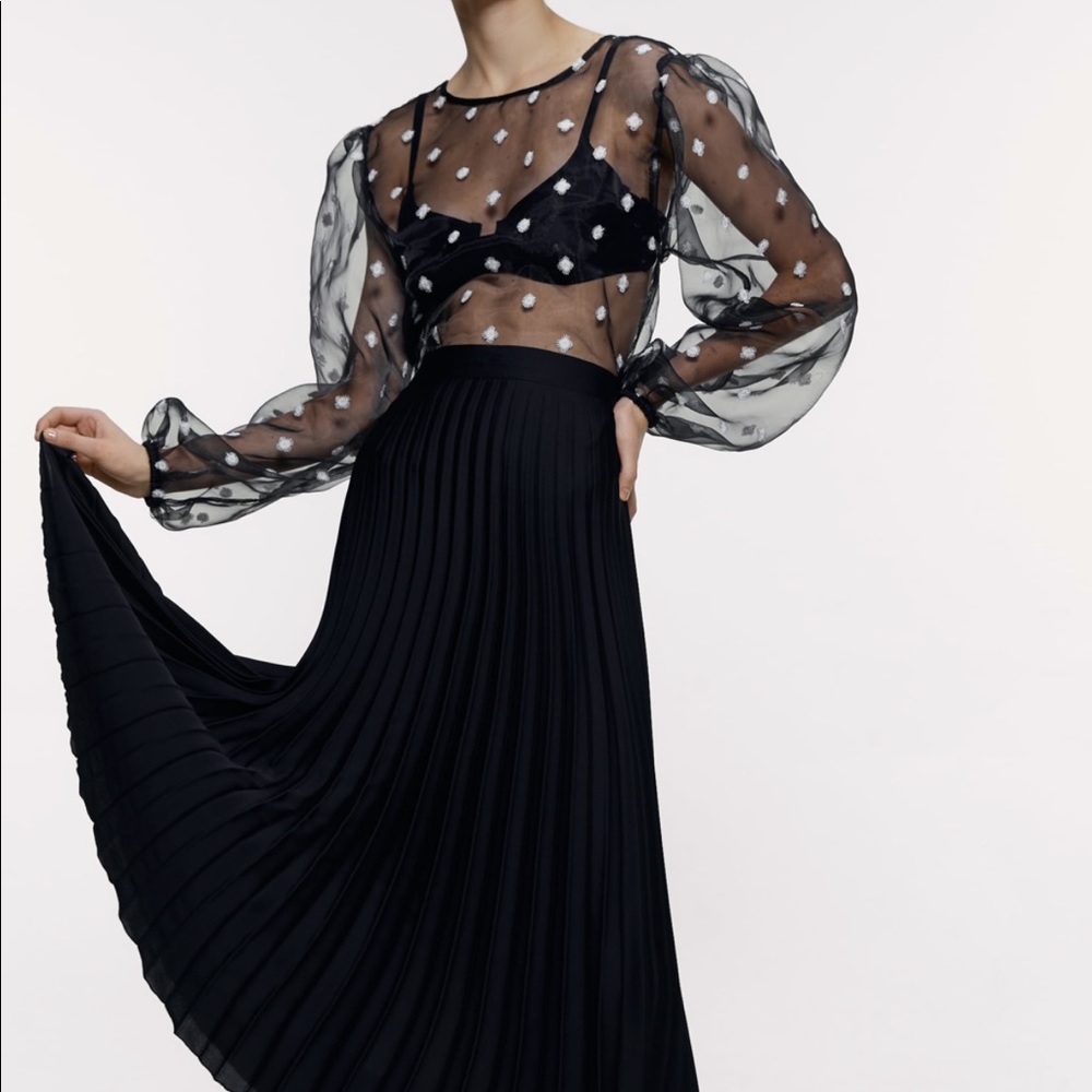 Zara Embroidered Black Organza Blouse - Picture 4 of 6